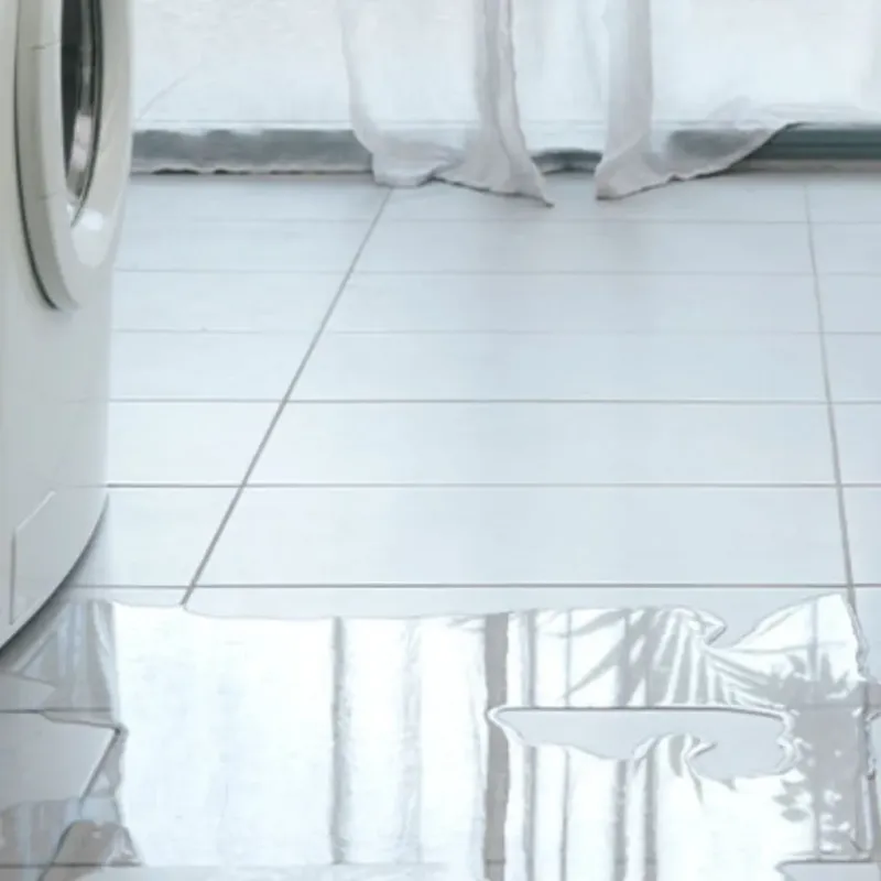 Appliance Leak Cleanup in Alderton, WA
