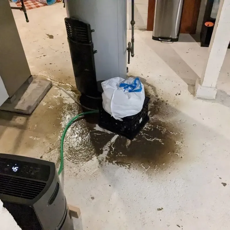 Sewage Backup Cleanup Service in Alderton, WA